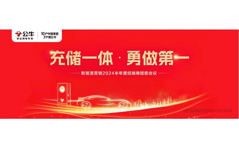 新能源营销2024半年度经销商赋能会议