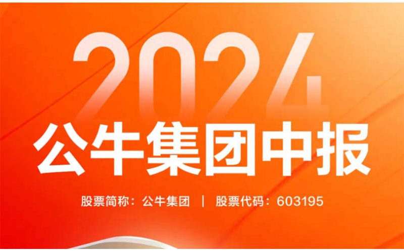 公牛集团2024年中报